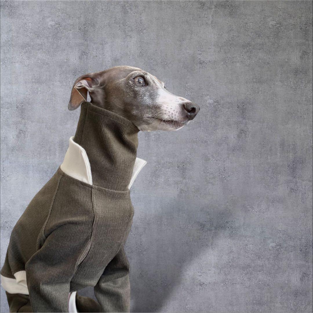 ⑪コーデュロイ イン パリ