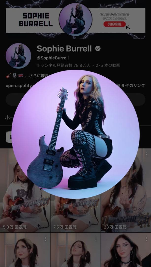 PRS SE Custom24 ロックペグ変更