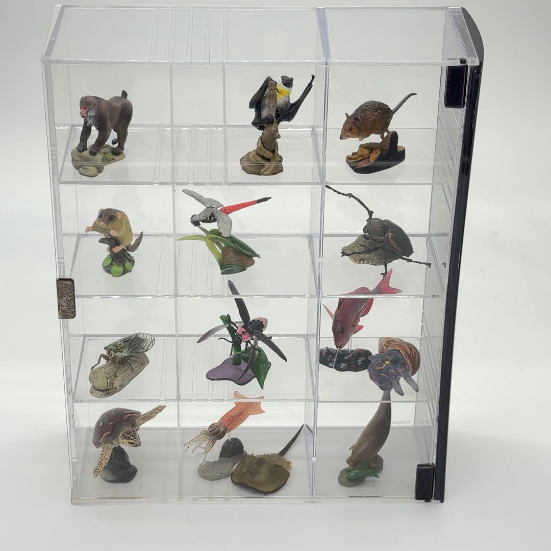 希少品 小学館 週刊 日本の天然記念物 52体セット まとめ売り