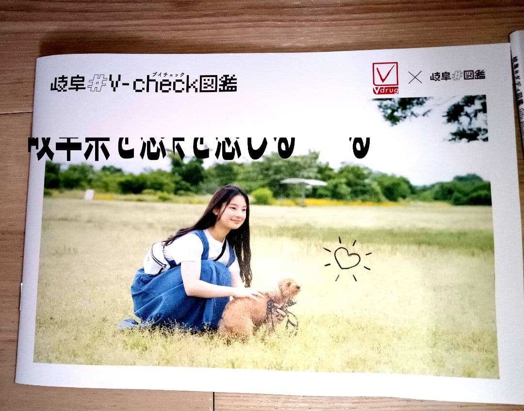 カラー図鑑　岐阜で活躍される方々