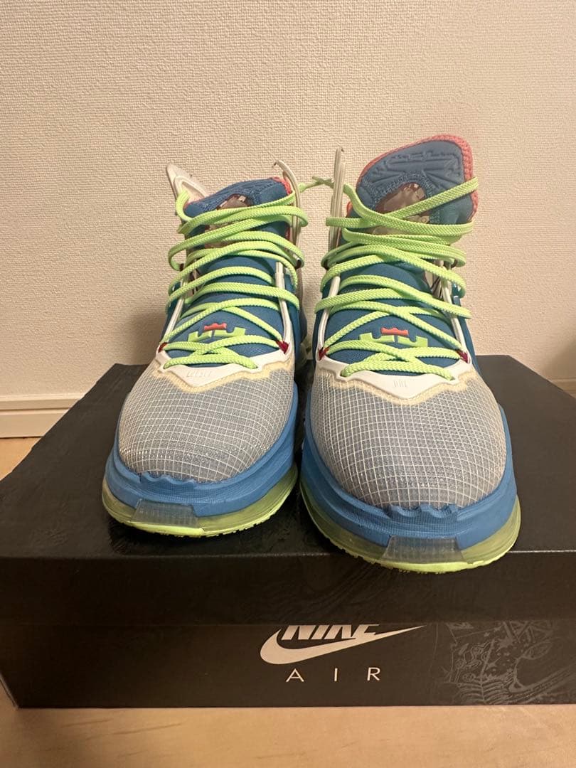 LEBRON XIX レブロン19　バッシュ NIKE