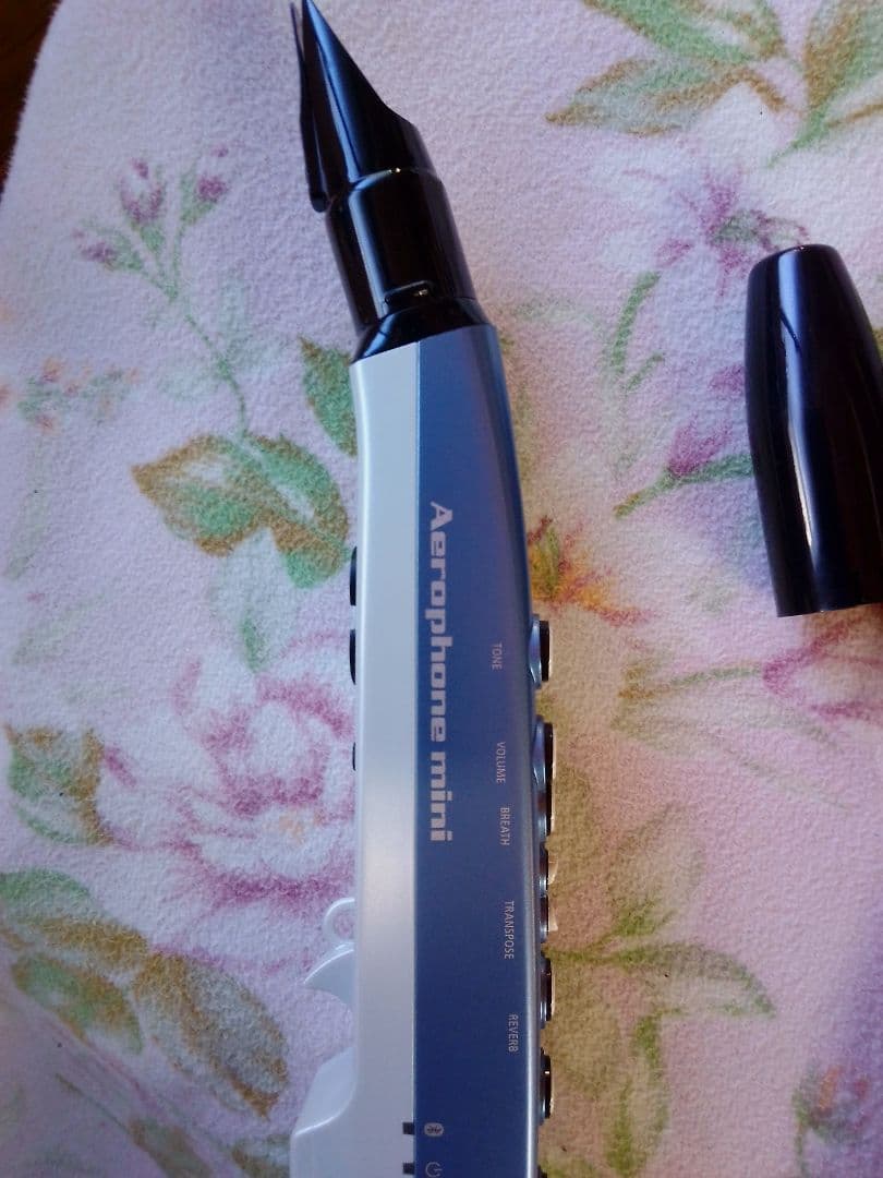 Roland Aerophone mini　AE−01