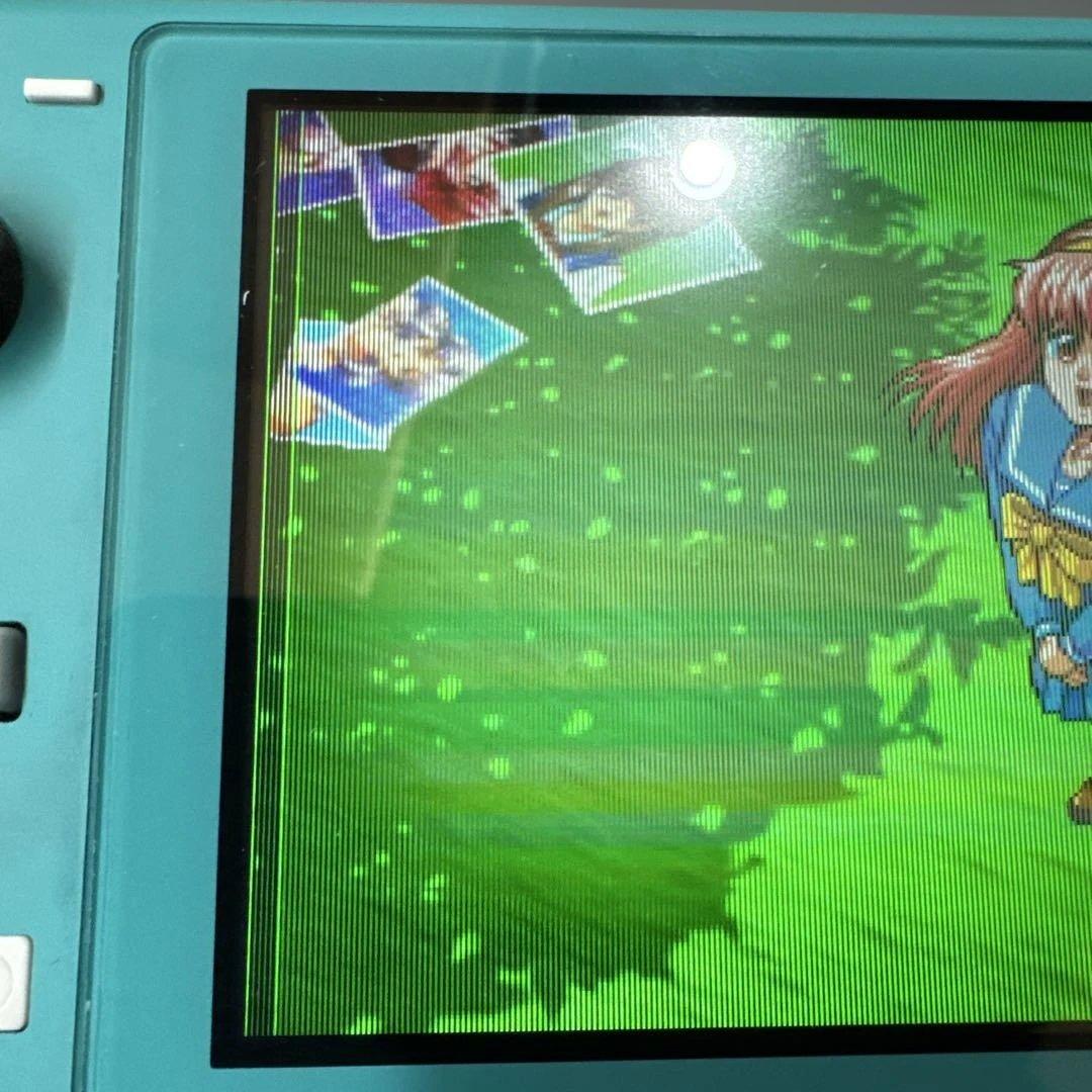 スイッチライト　Switchライト　画面滲みあり　ジャンク扱い　動作確認済み