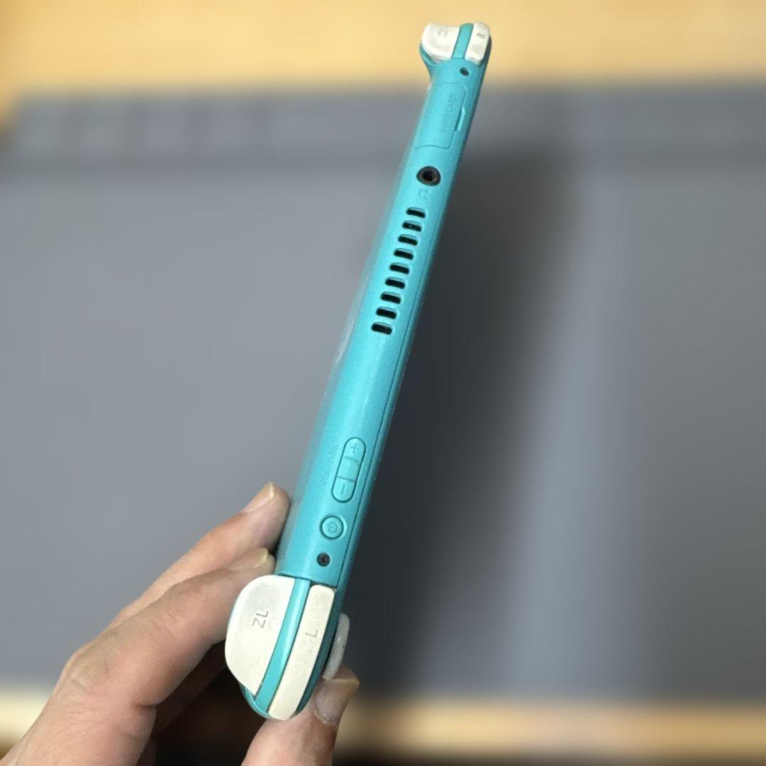 スイッチライト　Switchライト　画面滲みあり　ジャンク扱い　動作確認済み