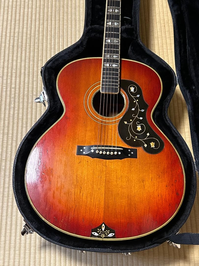 激レア 希少 カールヘフナー　496　アコギ ヴィンテージ