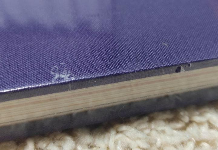 長島 有里枝 swiss 赤々舎（未開封品）