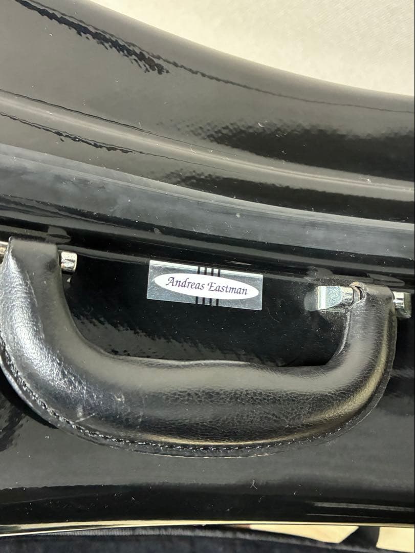 さ*も様 Ewald Sommer Nr.2 チェロ2006年製 Eastman