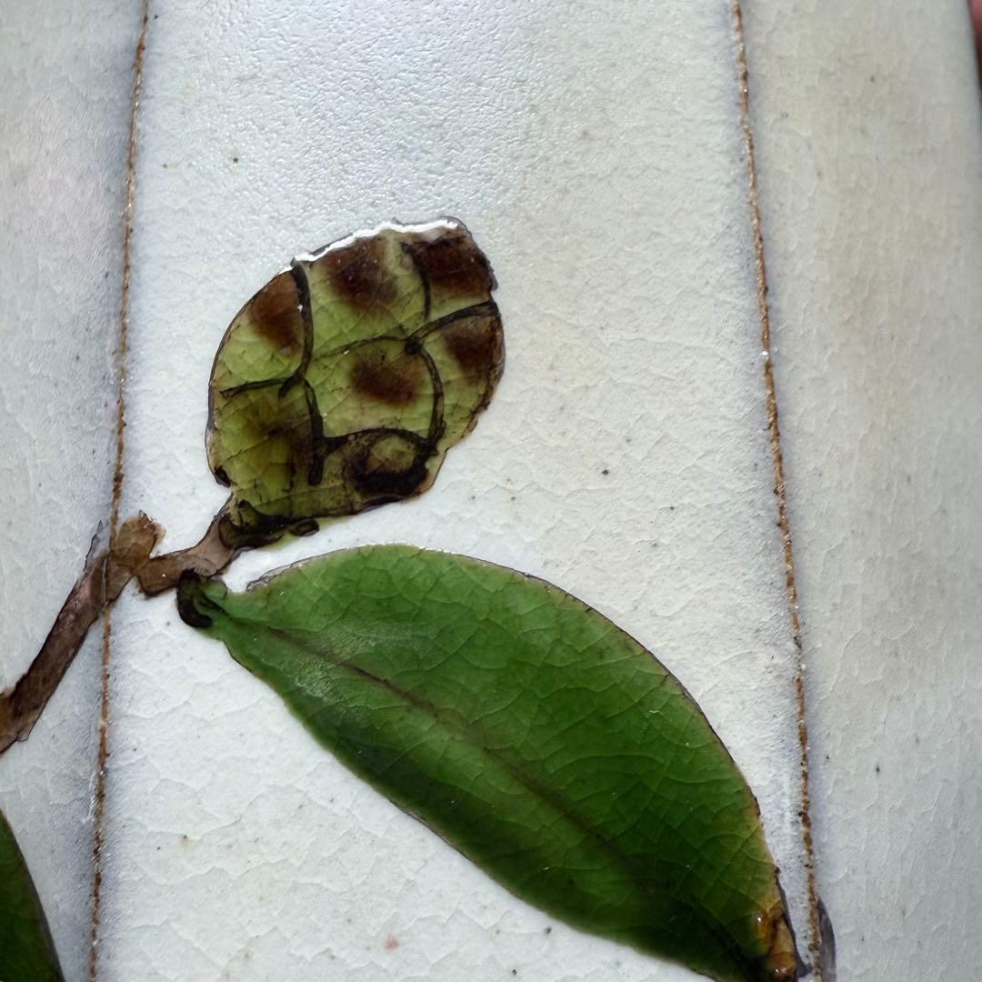 日本工芸会正会員　古川隆久　作　釉彩　椿文　花瓶　共箱 　益子焼　人気陶芸家