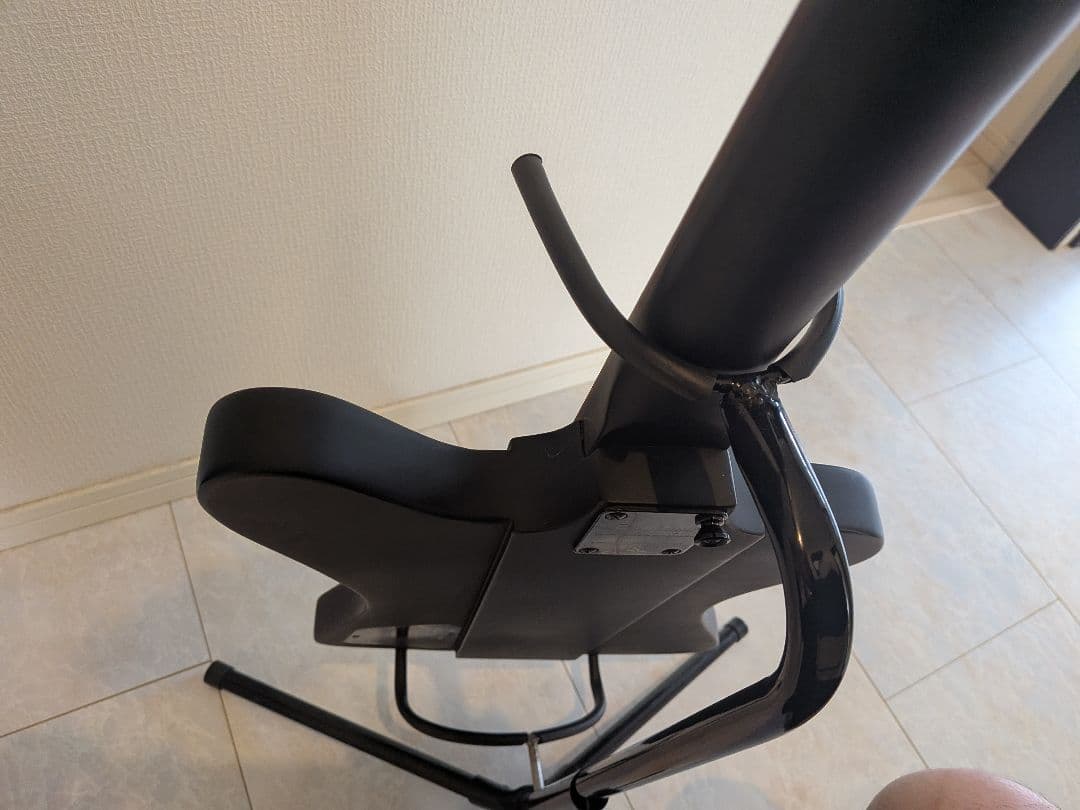 Epiphone ブラックバード　ニッキーシックス　サンダーバード