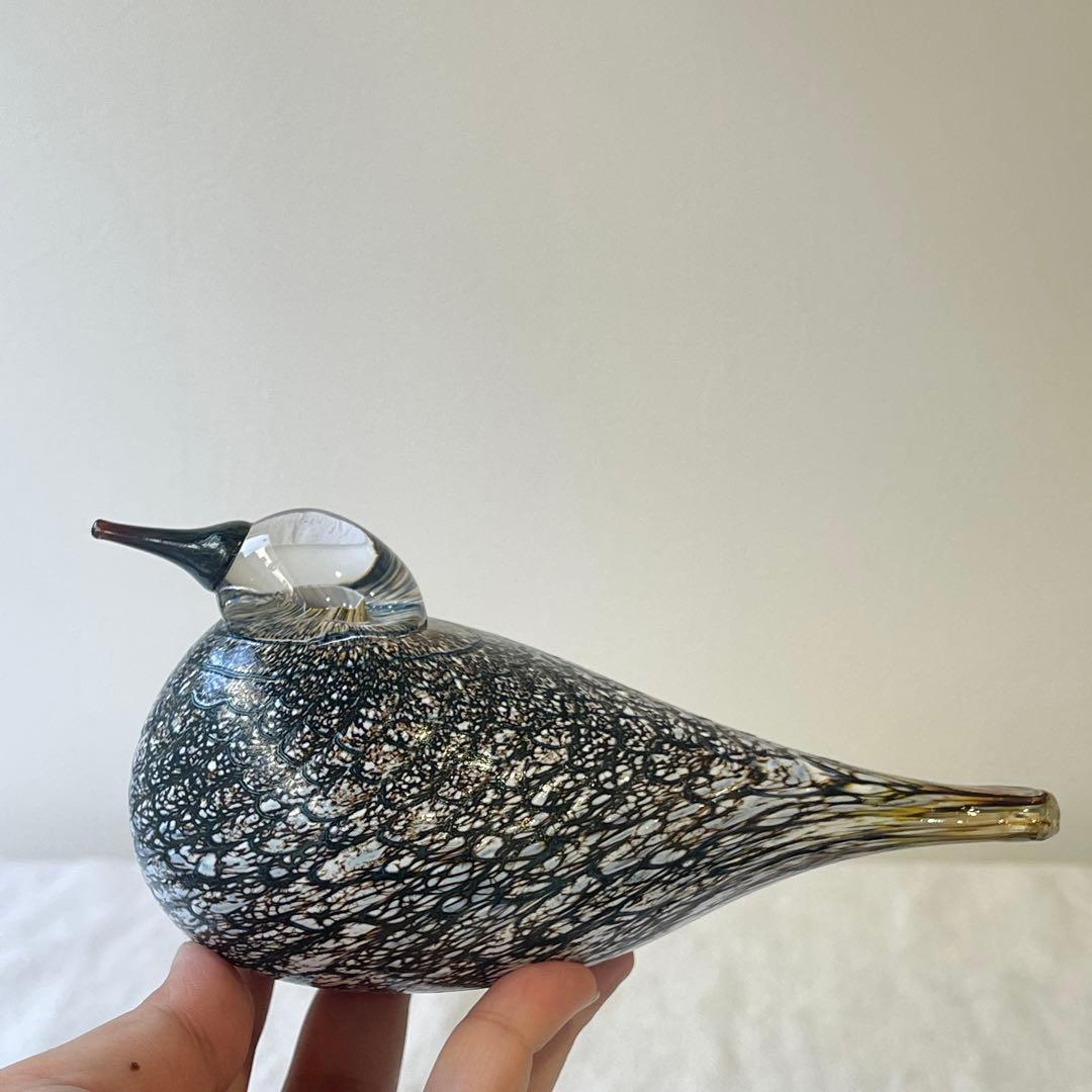 希少入手困難品　 オイバトイッカ イッタラバード コモンクイナ