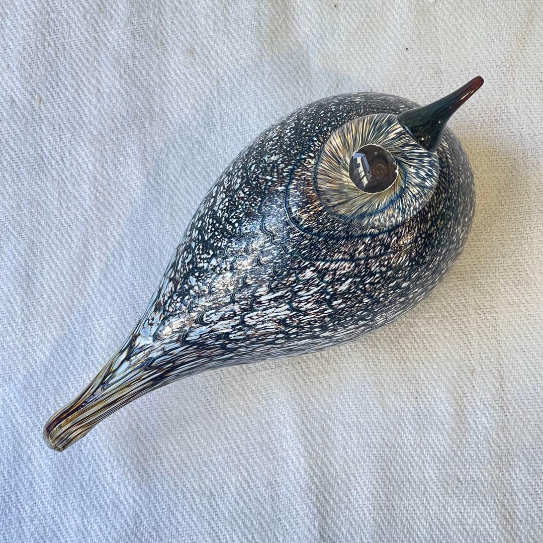 希少入手困難品　 オイバトイッカ イッタラバード コモンクイナ