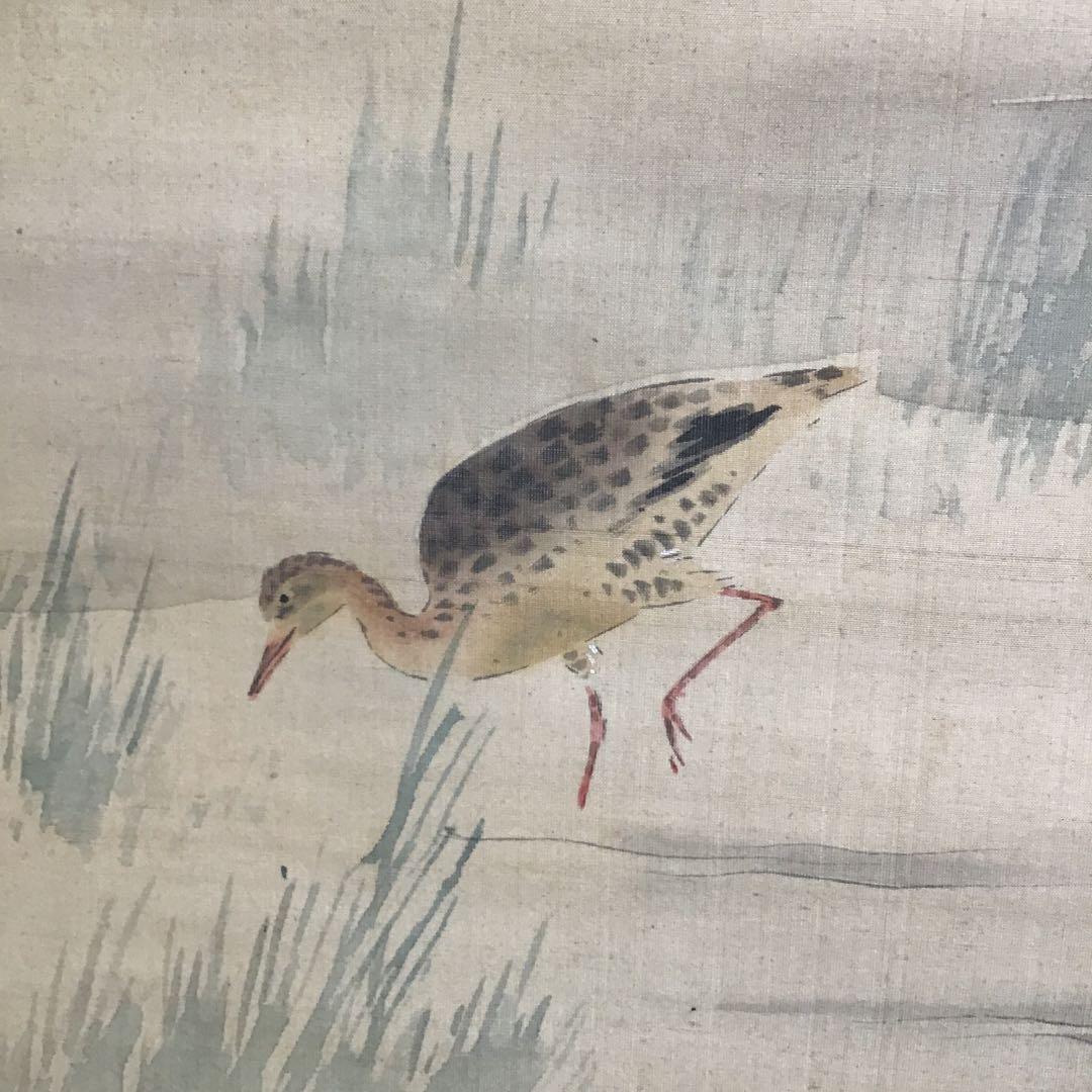 掛軸　水鶏(くいな) 渡辺清作　鑑定箱書付　共箱　紙箱　S936KJ