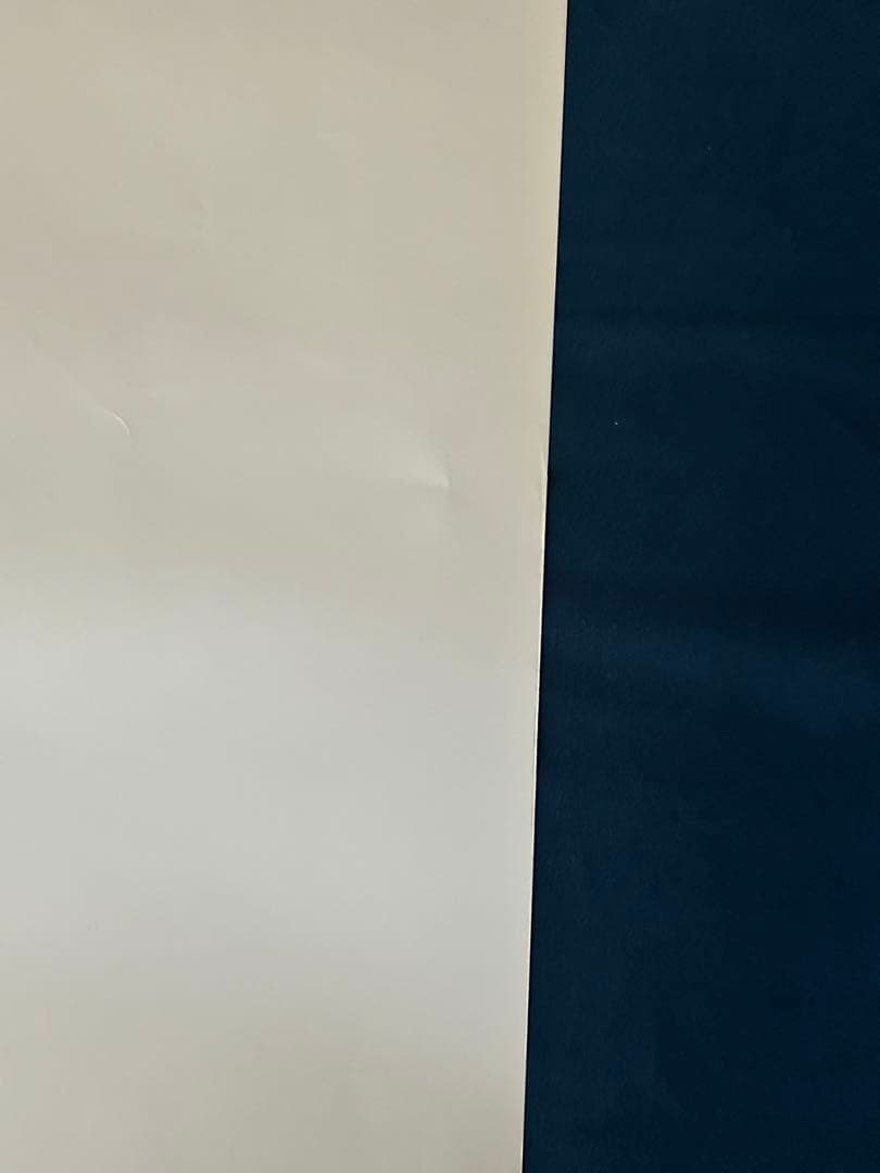 目撃　USオリジナル映画ポスター