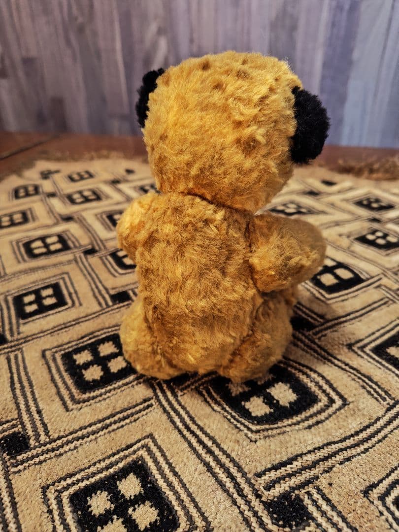 スーティー 1950年代