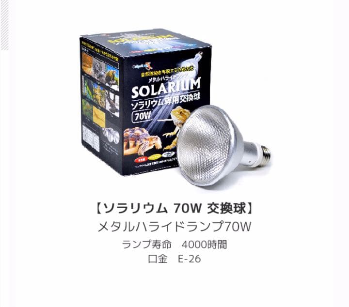 ソラリウム　交換球　70W