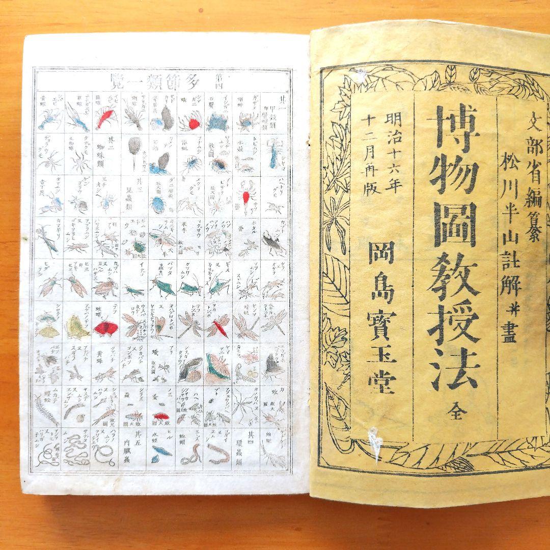 稀少【文部省編纂 博物図教授法 全】明治16年
