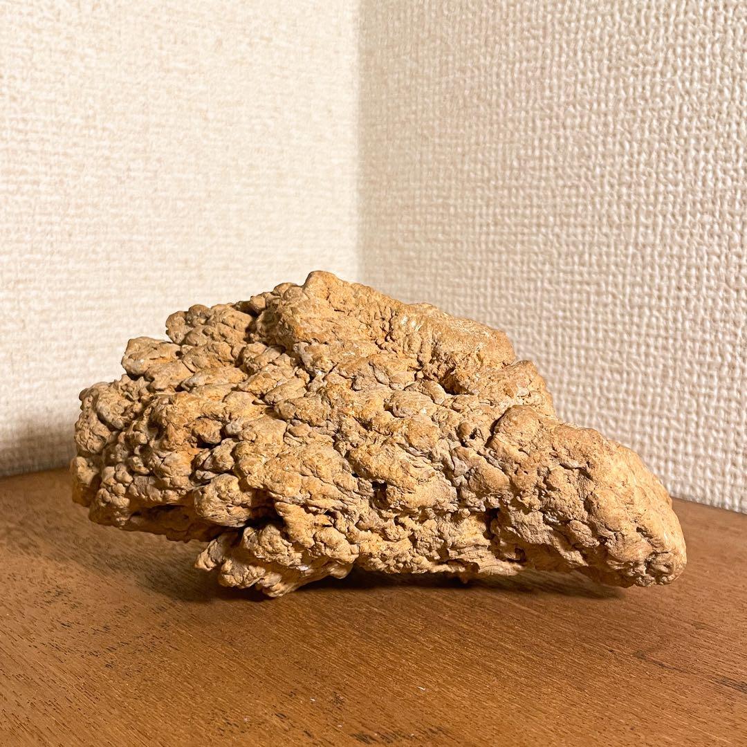 恐竜の糞（コプラライト）900g