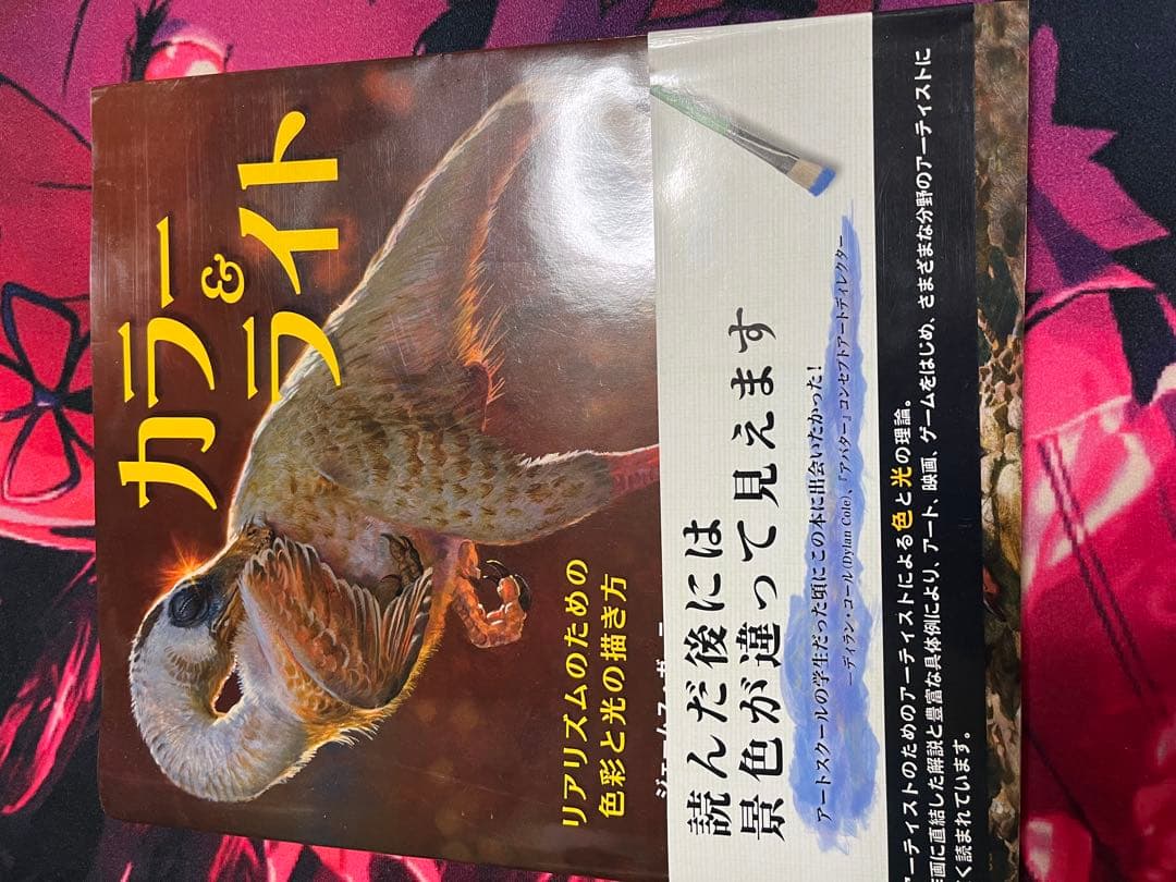 イラスト　参考書16冊セット