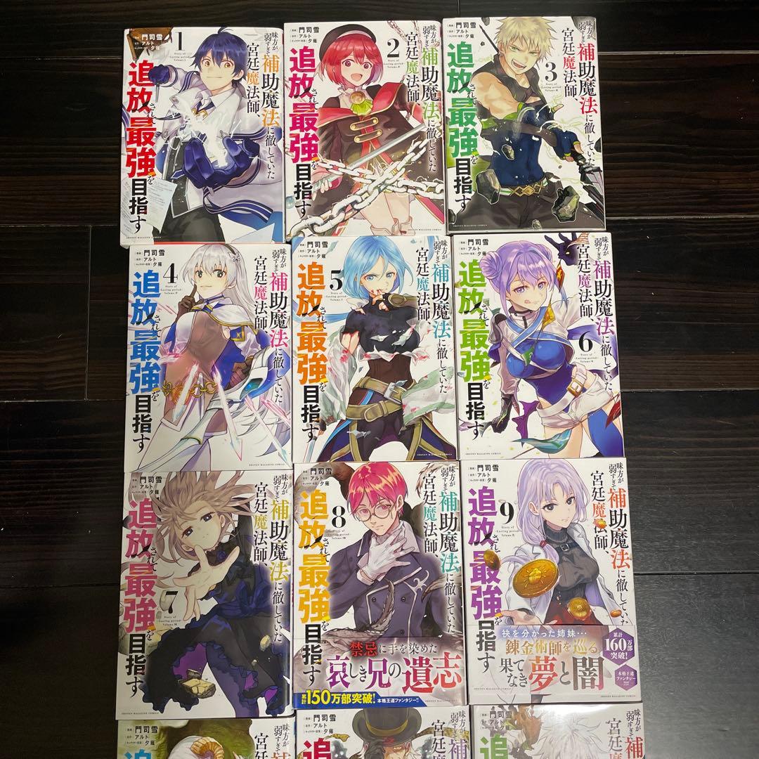 味方が弱すぎて補助魔法に徹していた宮廷魔法師、 追放されて最強を目指す1〜15巻