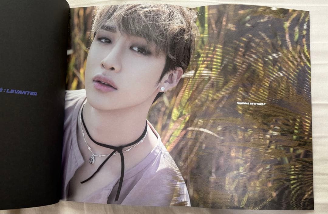 Stray Kids スキズ CD・アルバム　まとめ売り　限定盤有り　20枚