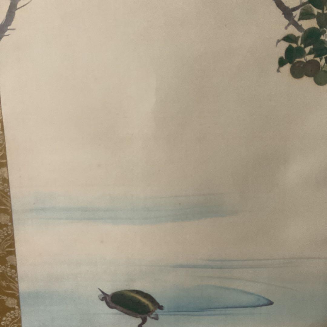 松村景文筆 複製掛軸復刻版 【青梅亀図 】 桐箱 タトウ箱付