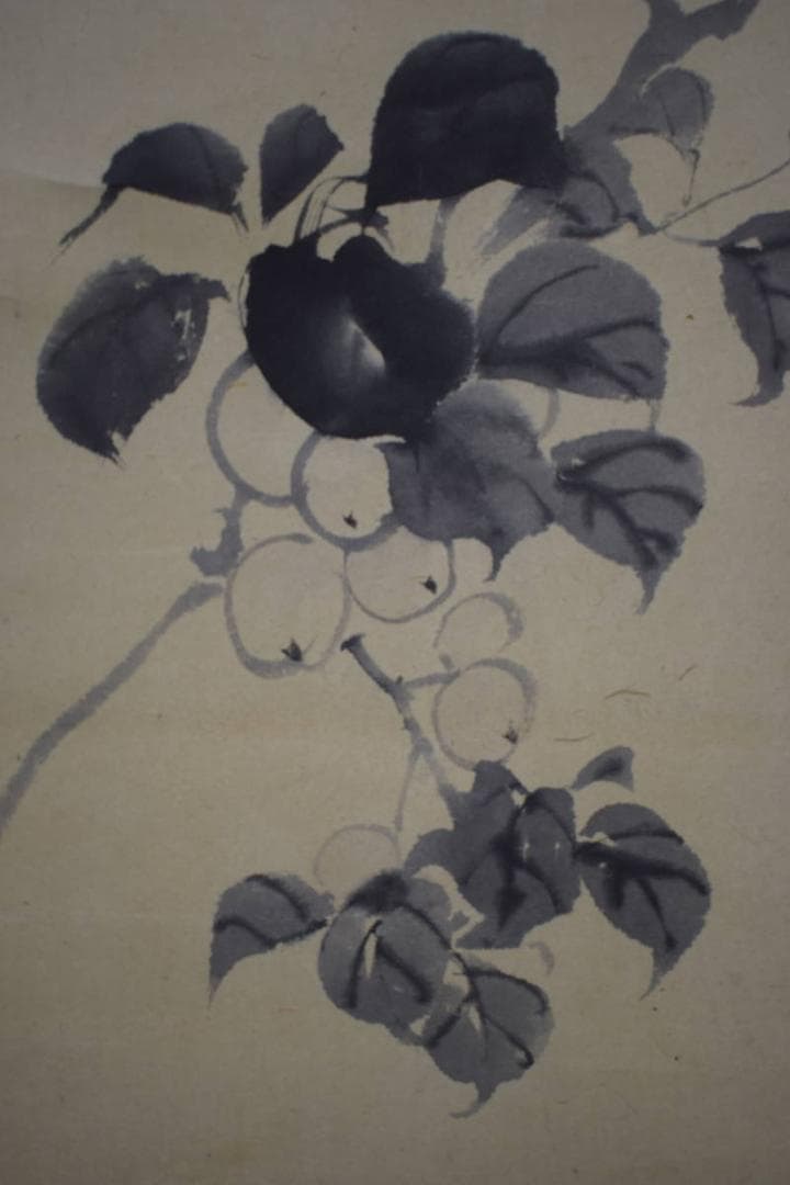 真作/松村景文/青梅/桐共箱付/布袋屋掛軸HI-954