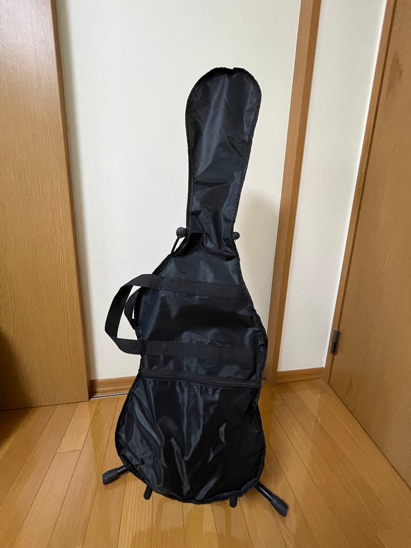 FERNANDES FR-55 purple エレキギター