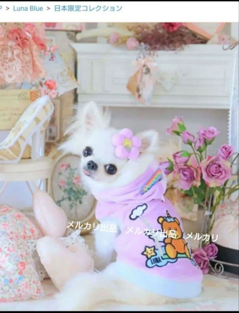 Luna Blue　ルナブルー　パーカー　ユニコーンフーディ　日本限定　Ｓ