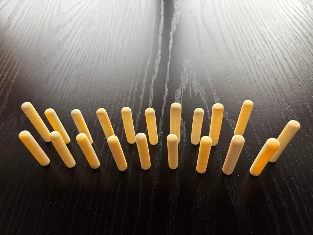 鯨歯　印材　鯨牙　希少20本セット