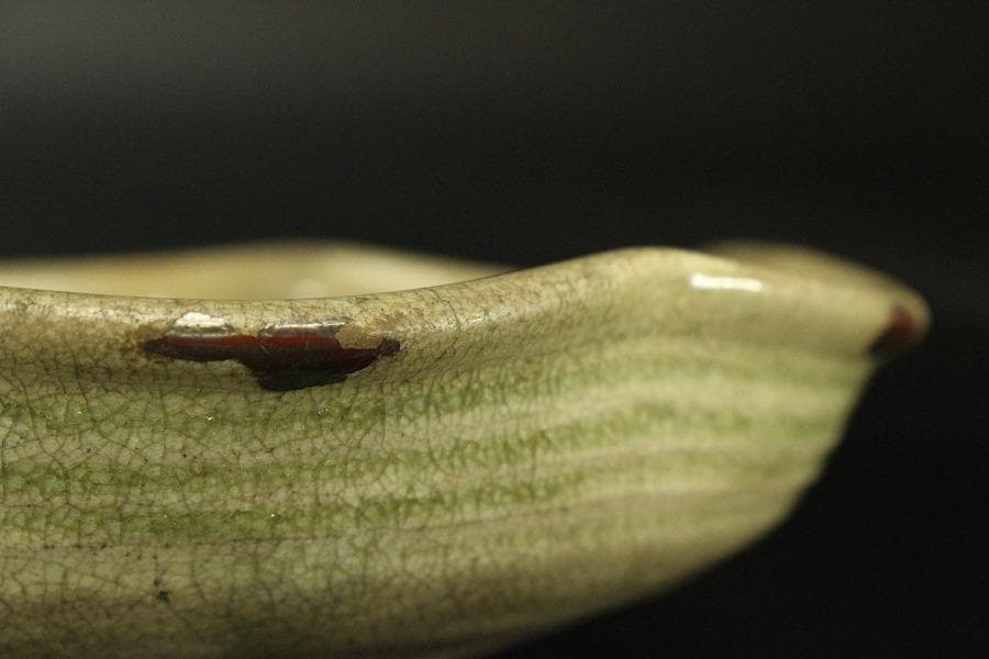 黄瀬戸 梅型 鉢 古美術(ZE569)