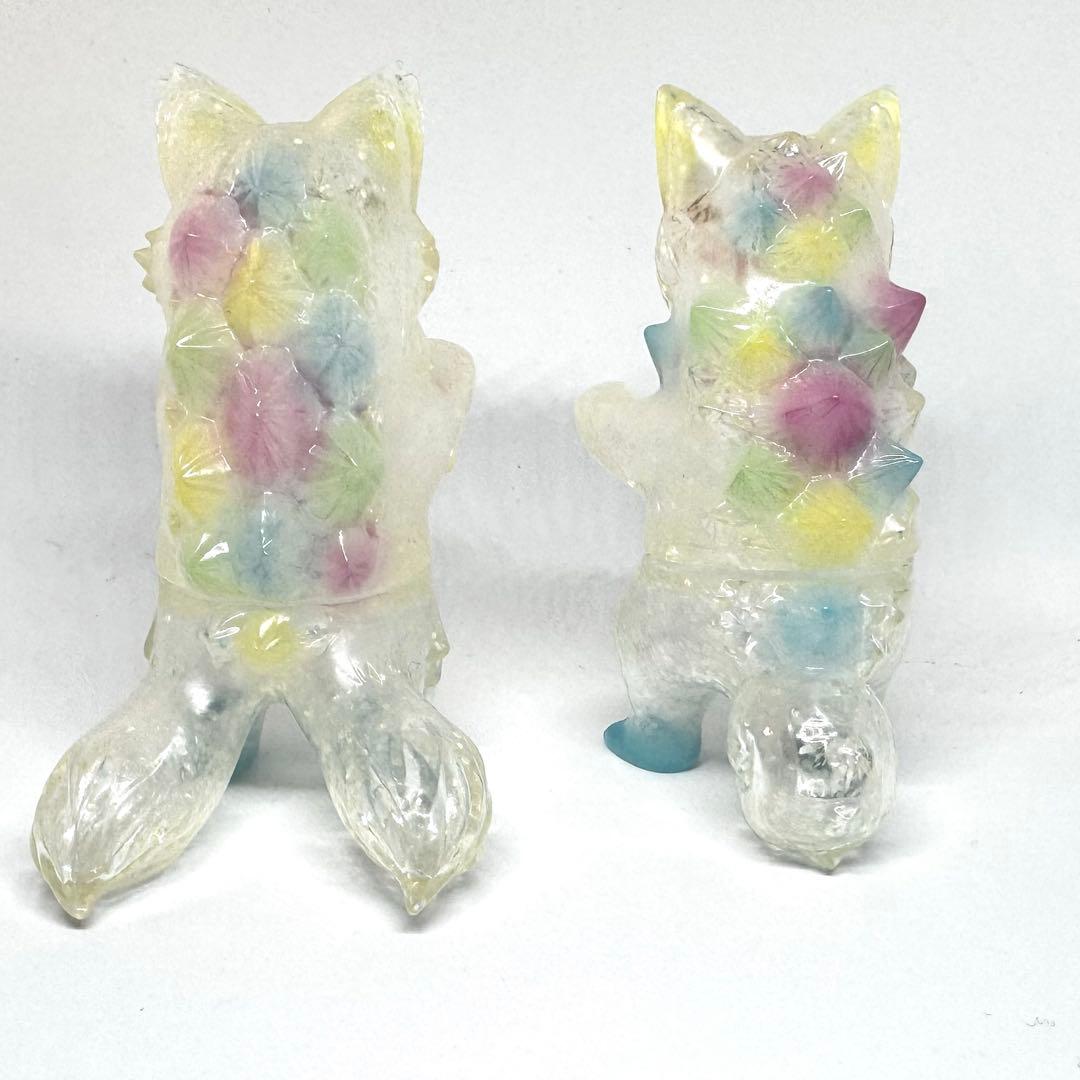 【小夏屋】長毛ネゴラ、シバラ レインドロップ