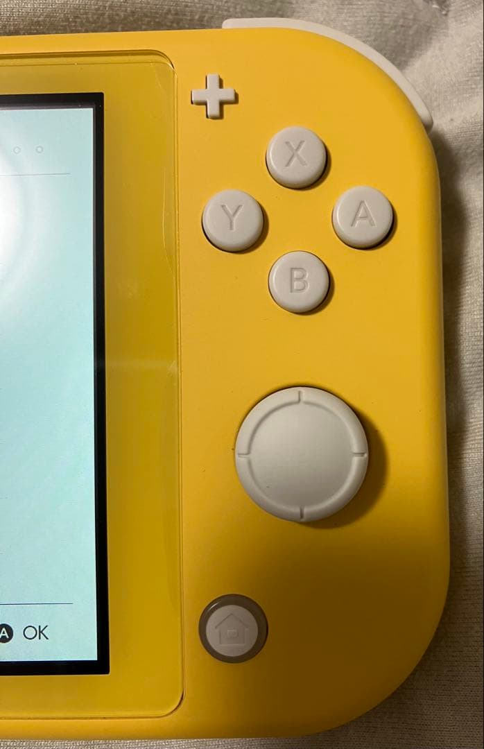 ニンテンドースイッチ ライト