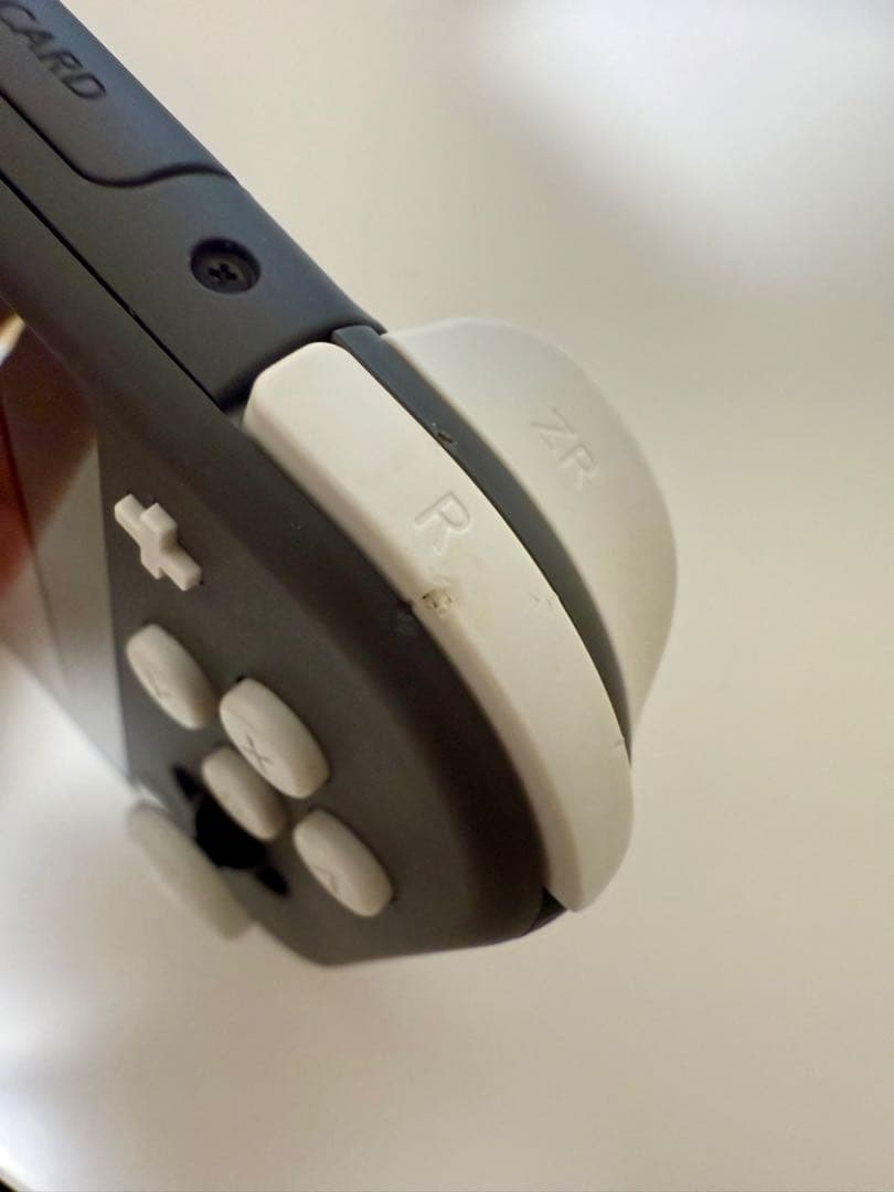 【即購入OK・匿名配送】Switch Lite（グレー）＋ソフト2本セット