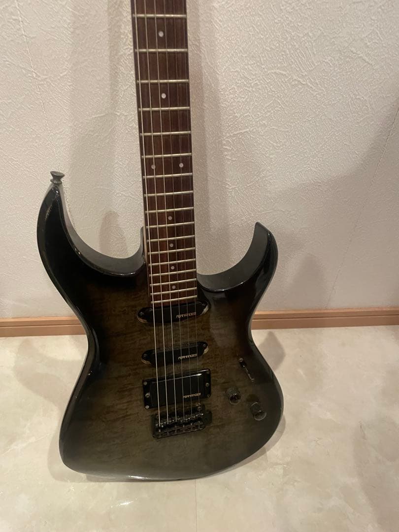 エレキギター フェルナンデス ギター