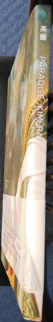 【今月一杯で出品一時停止】木村了子 作品集「楽園 PARADISE」イケメン