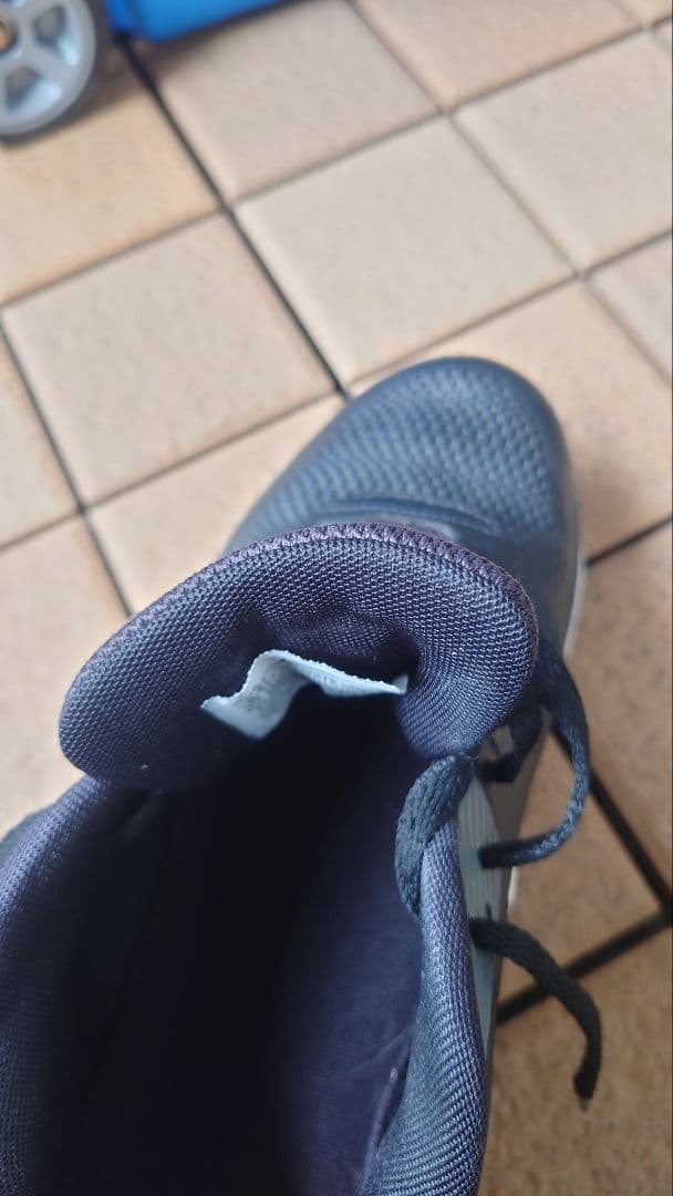 シューズ(男性用) Nike Air Max 90G