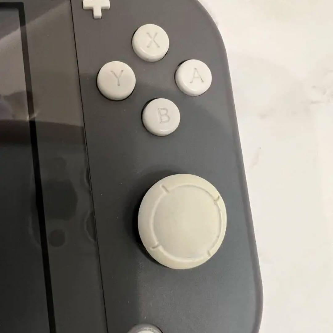 【ジャンク美品】Nintendo Switch Lite グレー ケースつき