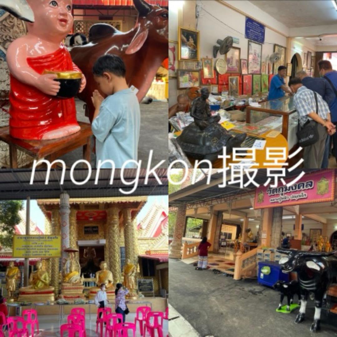 【神龜のご加護】世界尊者『LPリュウ師』超金運到来の神亀　プラクルアン　大　②