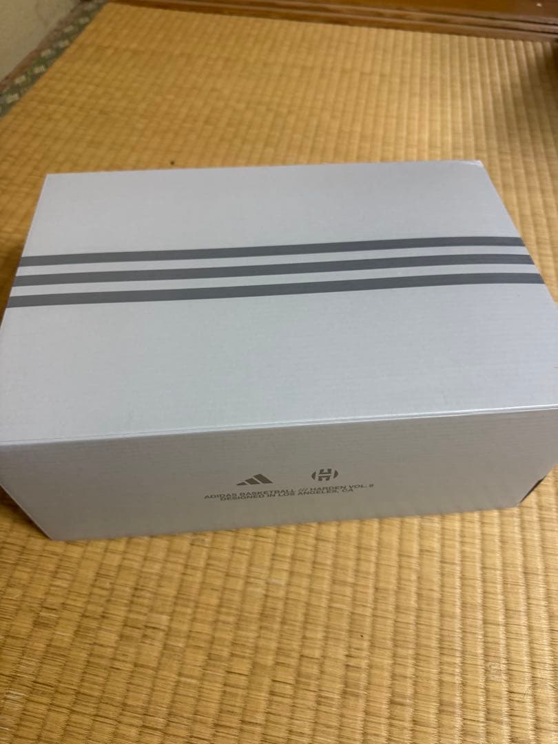 バスケットボールシューズ ブラック/レッド