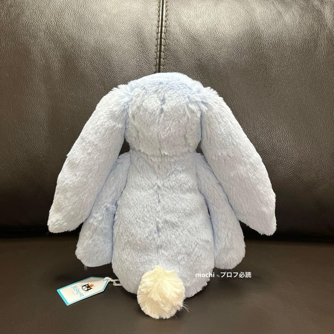 つる927ページ  Bashful Blue Bunny