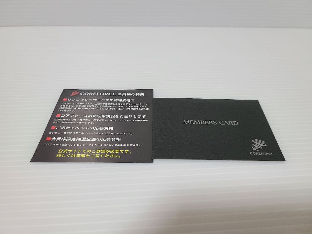 【美品】コアフォース ループ SUS CFL70