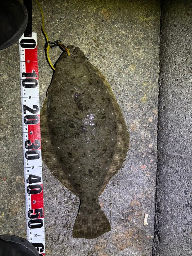 ジャックアイ　マキマキ　マキノミー　18個