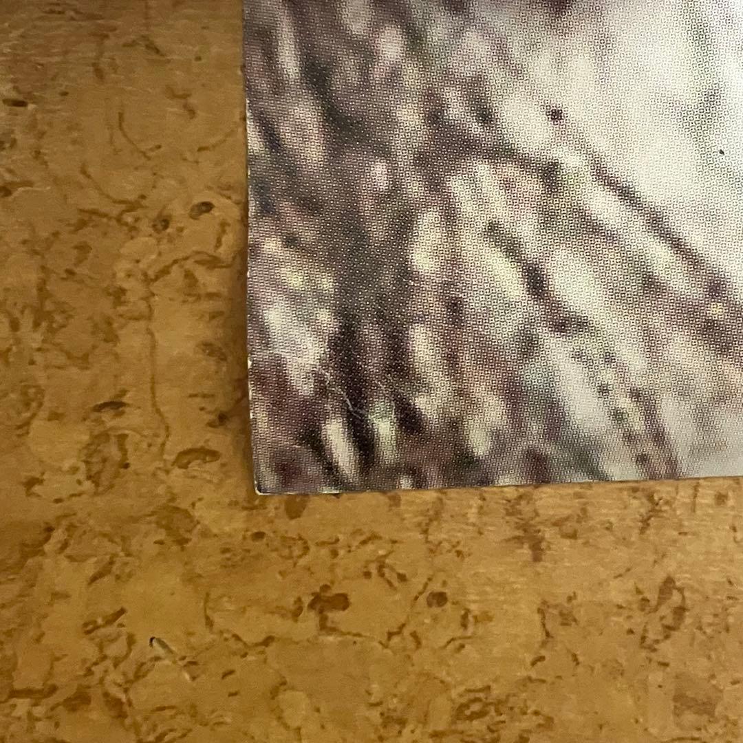 毛皮のマリーズ　MAJOR DEBUT ALBUM B2ポスター サイン入り