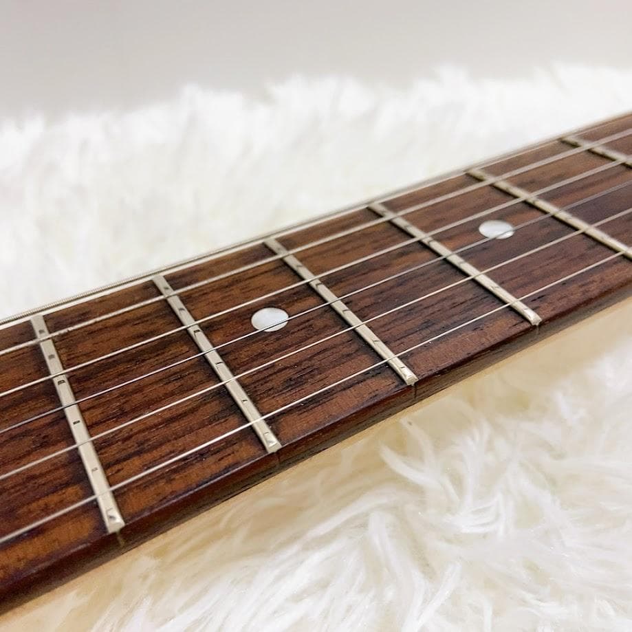 バッカス BACCHUS テレキャスター UNIVERSE SERIES RSM