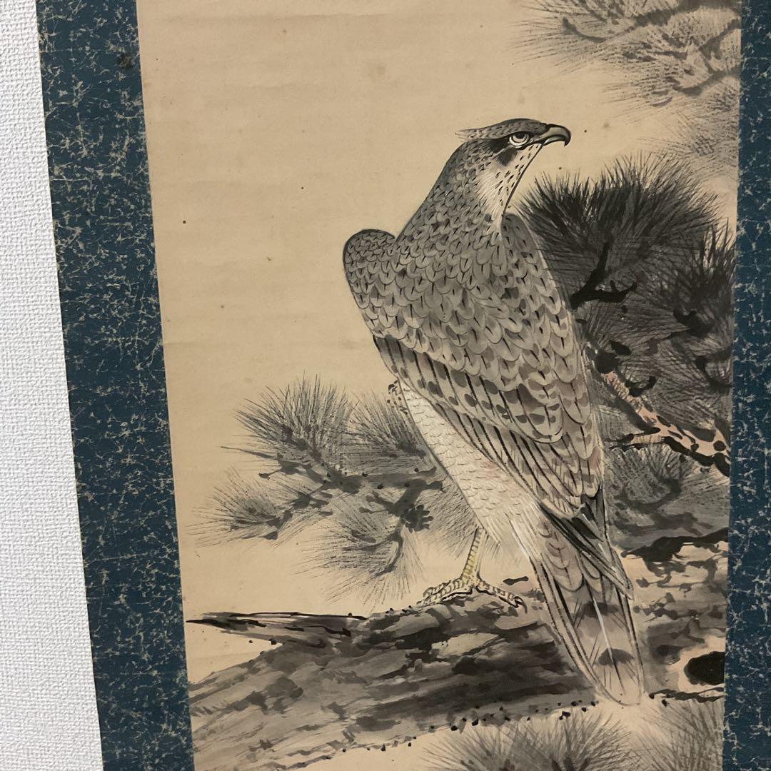 松上鷹図 紙本淡彩水墨画 落款印譜在（生峰）紙表装 軸先 紫檀
