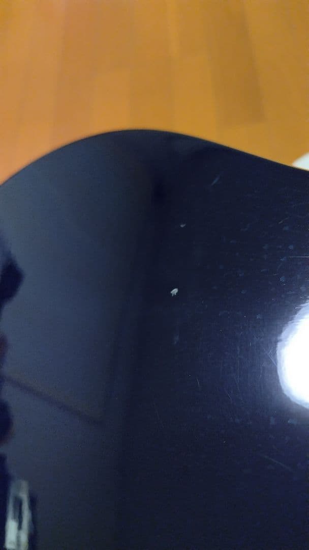 オアシス、ノエル・ギャラガーのシグネチャーモデル