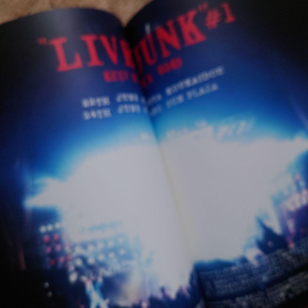 WANDS LIVE-JUNK ♯2 パンフレット