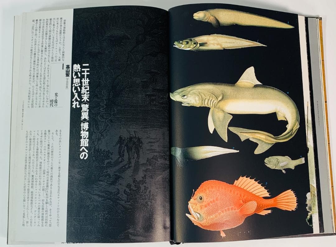 31年前の1993年◆「想像力博物館」　著者: 荒俣宏