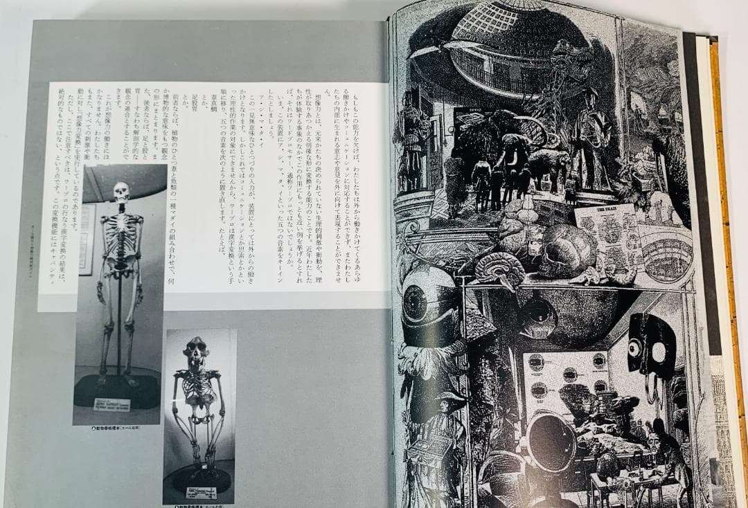31年前の1993年◆「想像力博物館」　著者: 荒俣宏