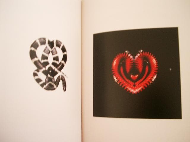 藤井フミヤ写真集           Fumiyart